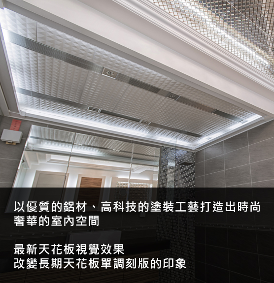 天花板產品介紹